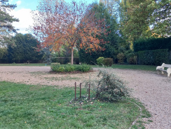 Appartement a louer saint-germain-en-laye - 4 pièce(s) - 62 m2 - Surfyn