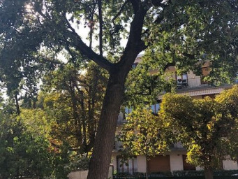 Maison a louer bois-colombes - 4 pièce(s) - 85.76 m2 - Surfyn