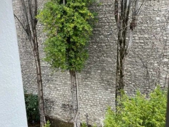 Appartement a louer neuilly-sur-seine - 1 pièce(s) - 12 m2 - Surfyn