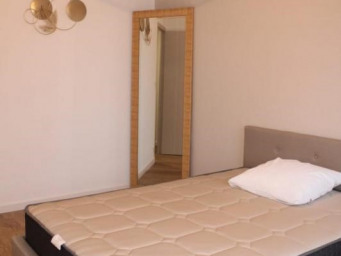 Maison a louer albi - 2 pièce(s) - 44 m2 - Surfyn