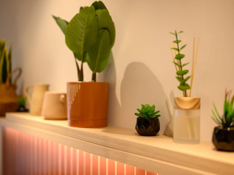 Appartement a louer versailles - 1 pièce(s) - 30 m2 - Surfyn