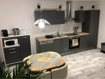 Appartement a louer mulhouse - 2 pièce(s) - 60 m2 - Surfyn