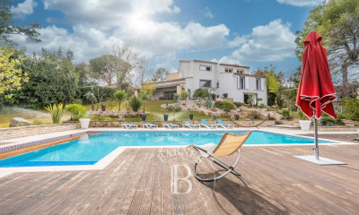 Maisons et villa de luxe vendre en Provence Alpes C te d Azur