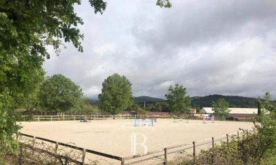 Haras trotteur a vendre store