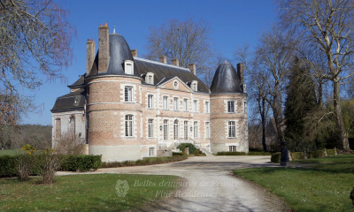 Achetez château princesse occasion, annonce vente à Olivet (45) WB170799889