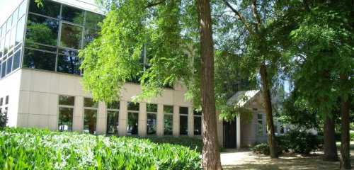 2e photo de l'annonce