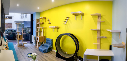 2e photo de l'annonce