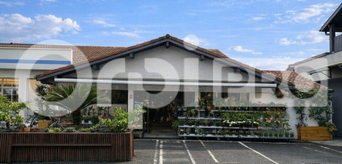 1re photo de l'annonce