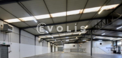 5e photo de l'annonce