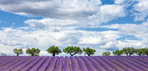 5e photo de l'annonce