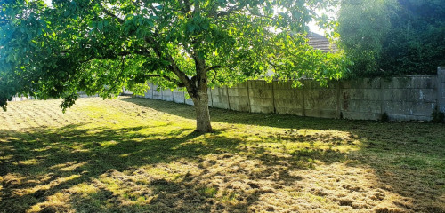 1re photo de l'annonce