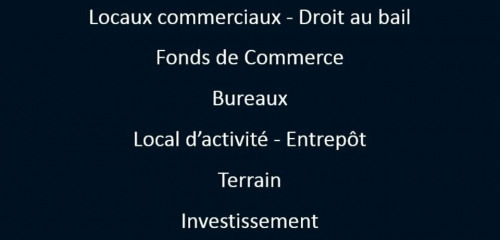 2e photo de l'annonce