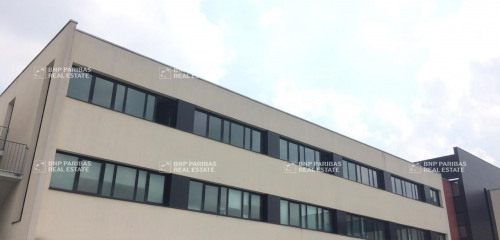 1re photo de l'annonce