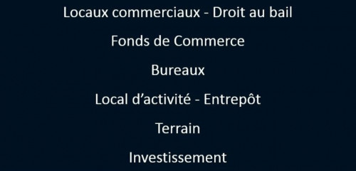 5e photo de l'annonce