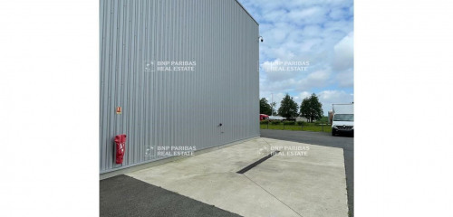 5e photo de l'annonce