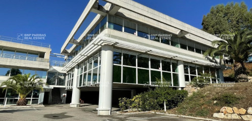 2e photo de l'annonce