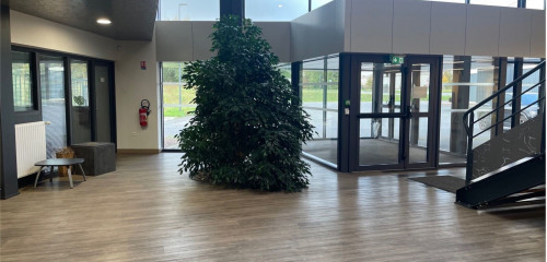 2e photo de l'annonce