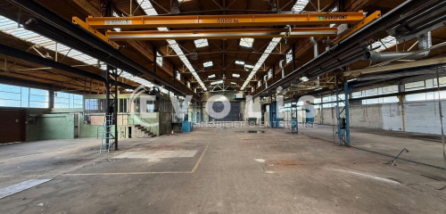 1re photo de l'annonce