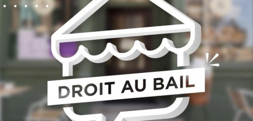 1re photo de l'annonce
