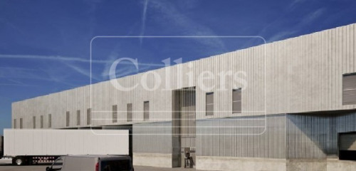 1re photo de l'annonce