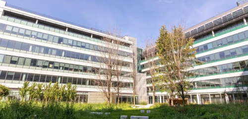 2e photo de l'annonce