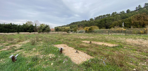 1re photo de l'annonce