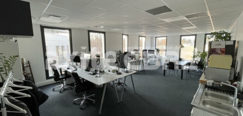 1re photo de l'annonce