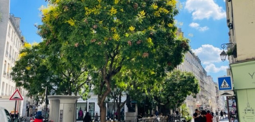 1re photo de l'annonce