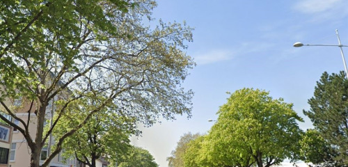 1re photo de l'annonce