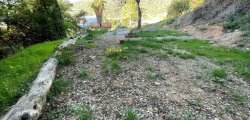 2e photo de l'annonce