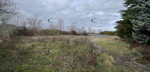 2e photo de l'annonce