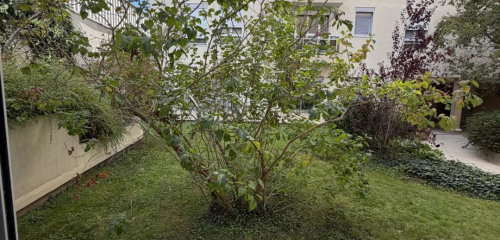 4e photo de l'annonce