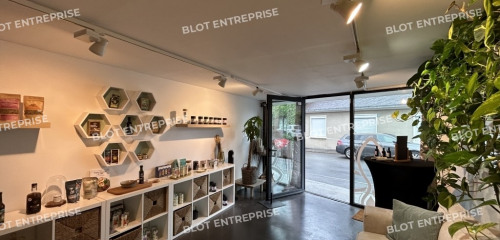 1re photo de l'annonce