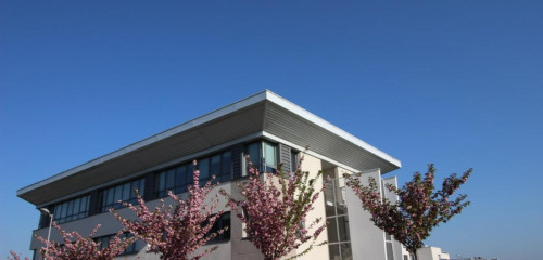 2e photo de l'annonce