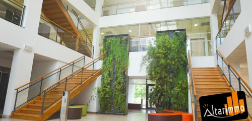 1re photo de l'annonce