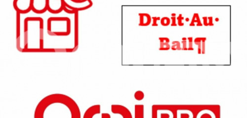 1re photo de l'annonce