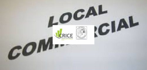 2e photo de l'annonce