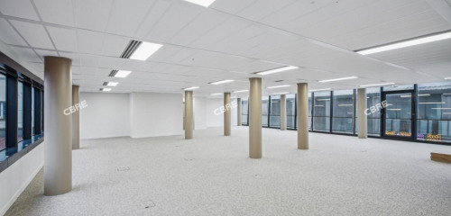 1re photo de l'annonce