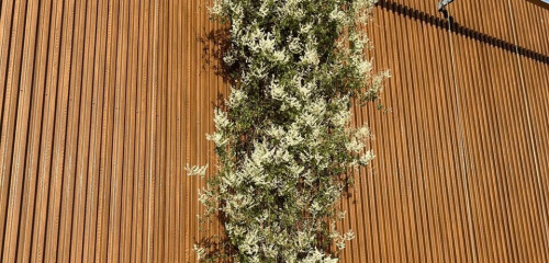 2e photo de l'annonce