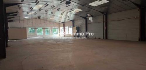 4e photo de l'annonce