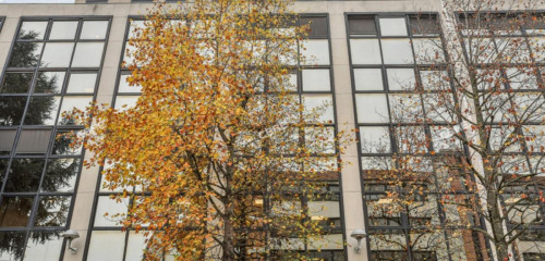 1re photo de l'annonce