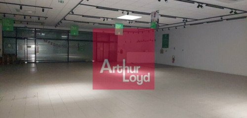 2e photo de l'annonce