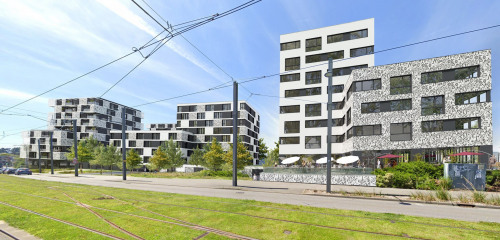 3e photo de l'annonce