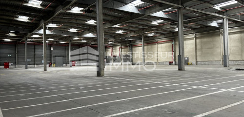 1re photo de l'annonce