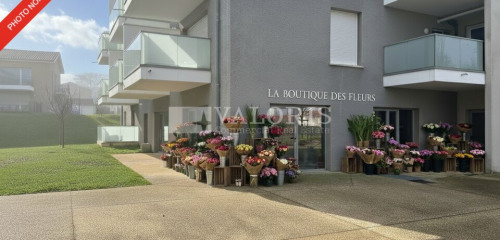 5e photo de l'annonce