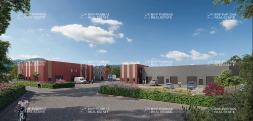 1re photo de l'annonce