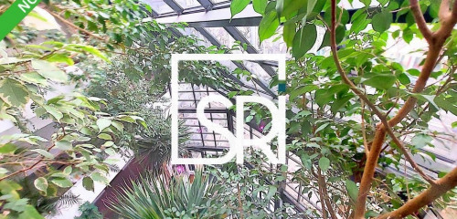 5e photo de l'annonce