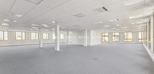 5e photo de l'annonce