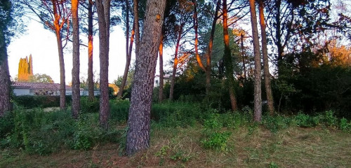 1re photo de l'annonce