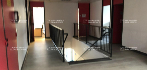 5e photo de l'annonce